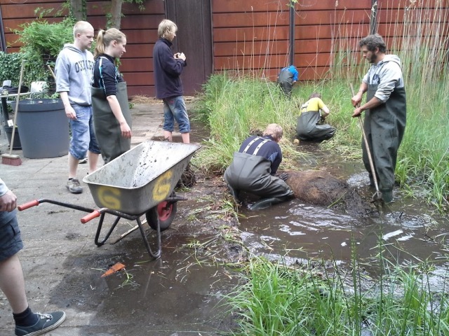 Pond clearance at the Mexican Garden